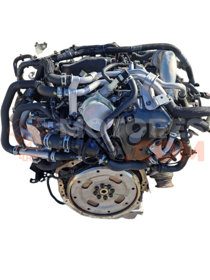 Motor ys23ddt Nissan Navara IV Double Cab 2.3 dCi (160 cv) AWD