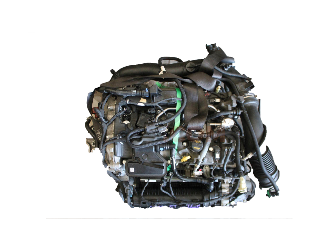 Motor yzja Ford Fiesta VI 1.6 16V (100 cv)