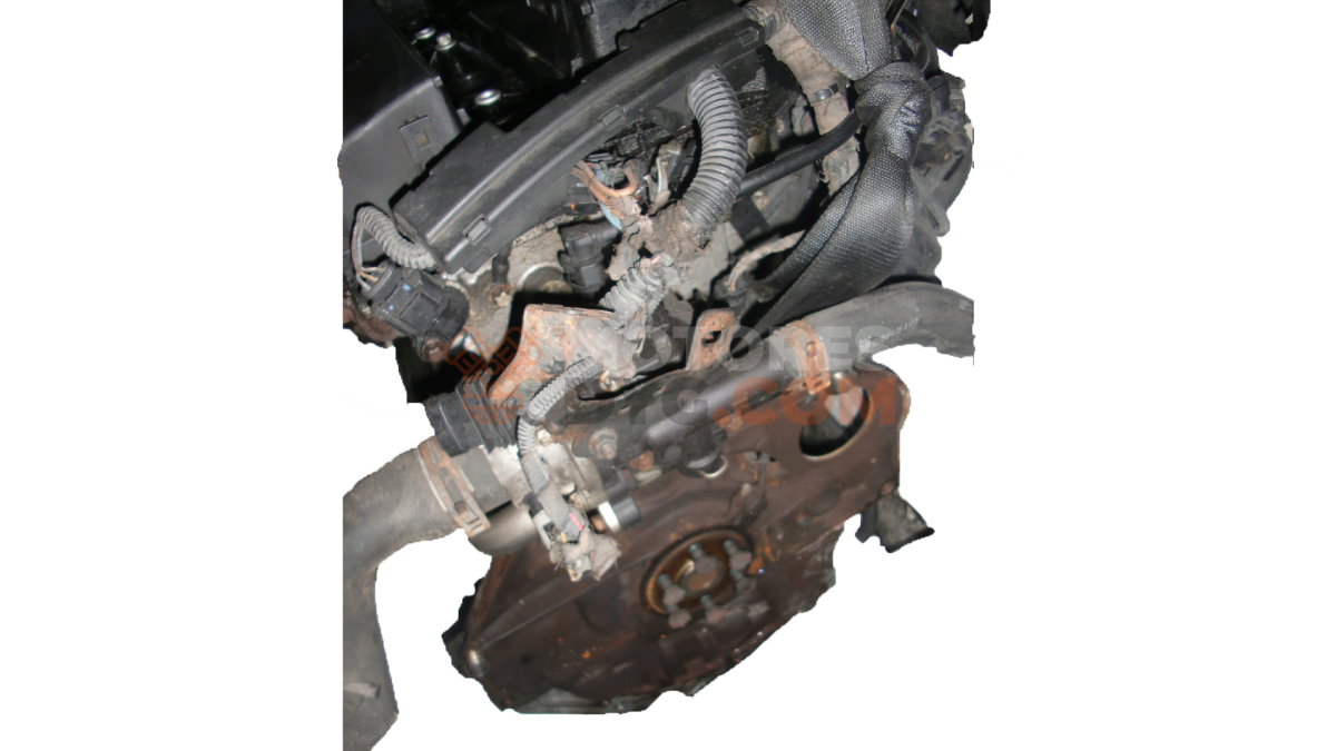 Motor Z 18 XER Opel Vectra C 1.8 (110 CV)