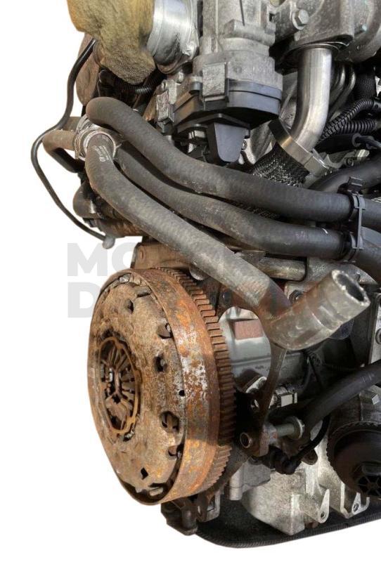 Motor Z19DTH Opel Signum 1.9 CDTI (150 cv)