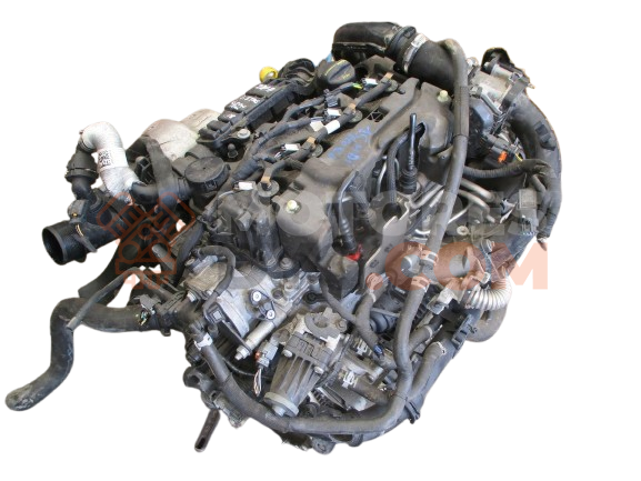 Motor Z2GA Ford Tourneo Connect II 1.6 Duratorq TDCi (115 cv)