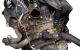 Motor D7F726 Renault Clio II 1.2 (BB0A, BB0F, BB10, BB1K, BB28, BB2D, BB2H, CB0A) (58 cv)