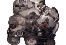 Motor M43B16 Bmw Serie 3 (E36) 316i (102 cv) 1994