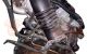 Motor ZL Mazda 323 F VI (BJ) 1.5 i 16V (88 cv)