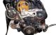Motor F6JB Ford Fiesta VI 1.4 TDCi (68 cv)