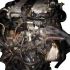 Opel Omega B 2.5i V6 (170 cv)