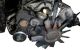 Motor M43B18 Bmw Serie 3 (E36) 318i (115 cv)