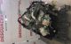 Motor 4m41 Mitsubishi Montero III (V7_W, V6_W) 3.2 Di-D (160 cv)