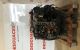 Motor r3pa Ford Tourneo Connect 1.8 TDCi L (90 cv)