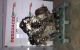 Motor yd25 Nissan Navara III (D40 Versión 2010) 2.5 dCi (190 cv)