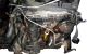 Motor BDK Volkswagen Golf V 2.0 SDI (75 cv)