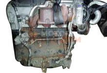 Motor D3FA Ford Transit Autobús (FD_ _, FB_ _, FS_ _, FZ_ _, FC_ _) 2.0 DI (F_E,_F_F_,F_G) (75 cv) 2000