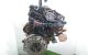Motor D4204T Volvo S40 II 2.0 TDI (136 cv)