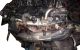 Motor D4204T Volvo S40 (VS) 2.0 16V (136 cv)