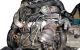 Motor BDG Audi A4 Avant (B7 8E) 2.5 TDI V6 (163 cv)