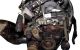 Motor G8DD Ford Focus II Sedan 1.6 TDCi HP (109 cv)