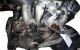 Motor 836A3.000 Fiat Coupe (FA/175) 2.0 16V (139 cv)