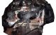 Motor F1AE3481A Iveco Daily V Caja/Chasis 26L11, 26L11D, 35C11D, 35S11, 40C11 (106 CV)
