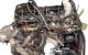 Motor Mercedes Benz Vito / Mixto Furgón (W639) 115 CDI (150 cv)