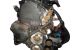 Motor F1AE0481G Iveco Daily IV Caja/Chasis 29L12 (116 cv)
