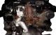 Motor ASB Audi A8 (D3, 4E) 3.0 TDI (233 cv) quattro Tiptronic