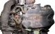Motor DRFB Ford Transit Caja/Chasis III 2.2 TDCi (100 cv)