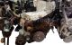 Motor M9T670 Renault Master III Caja/Chasis (EV, HV, UV) 2.3 dCi 125 FWD (EV0C, EV0D, EV0J, HV0Z, HV0D, HV0H) (125 cv)