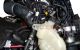 Motor B48A20A Mini Countryman (F60) Cooper S 2.0 (192 cv)
