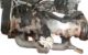 Motor 162XUD9 Citroen BX Break Fase II 1.9 Evasion (107 cv) 4x4