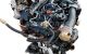 Motor Cgq Audi A6 (4F,C6 Versión 2008) 3.0 TDI V6 (240 cv) quatro DPF