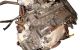 Motor G4ed Kia Cerato Sedán (LD) 1.6 (105 cv)