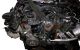 Motor Ccm Audi Q7 (Typ 4L) 3.0 TDI V6 (233 cv) quattro Tiptronic
