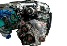 Motor Z51 Nissan Murano (Z51) 2.5 dCi (190 cv)