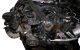 Motor Cjg Audi Q7 (Typ 4L, Versión 2009) 3.0 TDI V6 (204 cv) quattro DPF Tiptronic