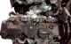 Motor 9HN Citroen Berlingo II 1.6 HDi (75  cv)