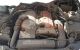 Motor 111955 Mercedes Benz Clase C (W203) C 200 Kompresor (203.042) (163 cv)