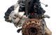 Motor M54B22 (226S1) Bmw Serie 3 (E46, 2001) 320i (170 cv)