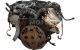 Motor M67 D39 (398D1) Bmw Serie 7 (E65) 740d (258 cv) Steptronic