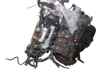 Motor 188A4.000 Fiat Panda 4x4 1.2 MPI 4x4 (60  cv) 2006
