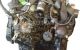 Motor DHW (XUD9SD) Citroen Xantia (X1) 1.9 SD (75 cv)