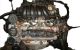 Motor BLN Volkswagen Golf V Plus 1.4 FSI (90cv)