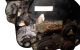 Motor Z16XEP Opel Zafira B 1.6i 16V (105 cv)