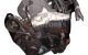 Motor BCA Volkswagen Golf IV (1J1) 1.4 16V (75 cv)