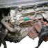 Nissan Micra (K12) 1.2 i 16V (65 cv)