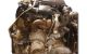 Motor 10FDAX Peugeot 307 1.4 (75 cv)