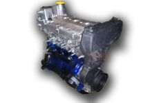 Motor 11194 Lada Kalina Ranchera Familiar (1117) 1.4 ( 16V LPG 88 cv)