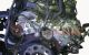 Motor 12A2LK70 Rover Mini MK I 1300 (63 cv)