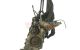 Motor 166.960 Mercedes Benz Clase A (W168) A 160 (168.033) (102 cv)