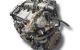 Motor 182b4000 Fiat Multipla (186) JTD 110 (110 cv)