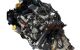 Motor 1mz-fe Toyota Camry IV 3.0 24V (MCV20) (190 cv)